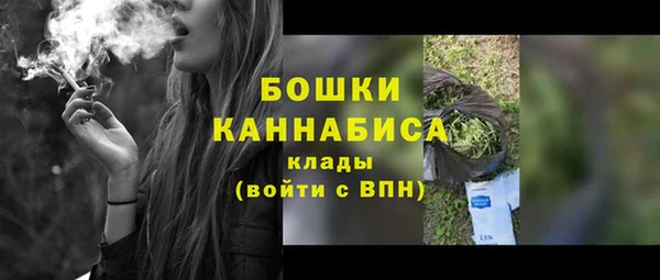 дживик Медвежьегорск
