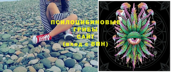 дживик Медвежьегорск