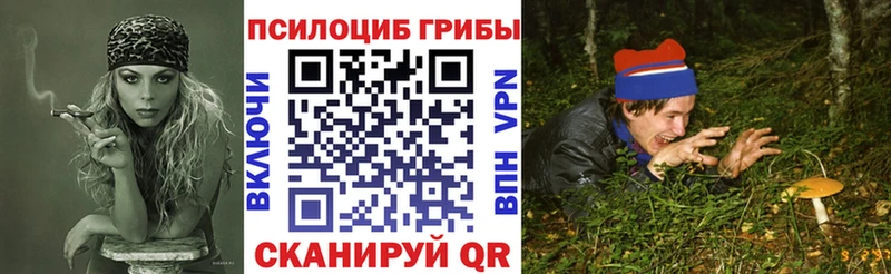 Галлюциногенные грибы GOLDEN TEACHER  Нерехта 